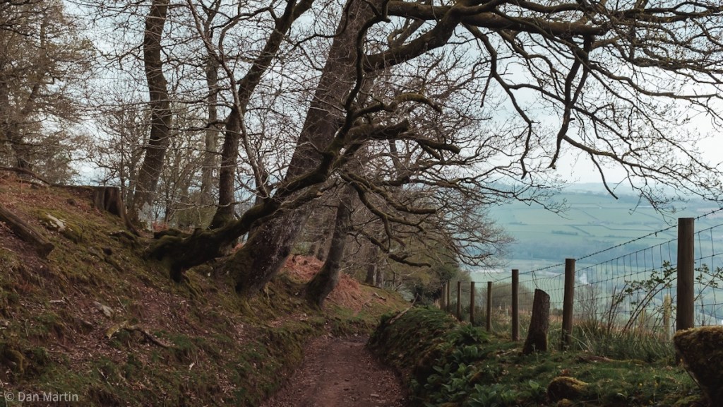 t h e p a t h s w e t r e a&nbsp;d