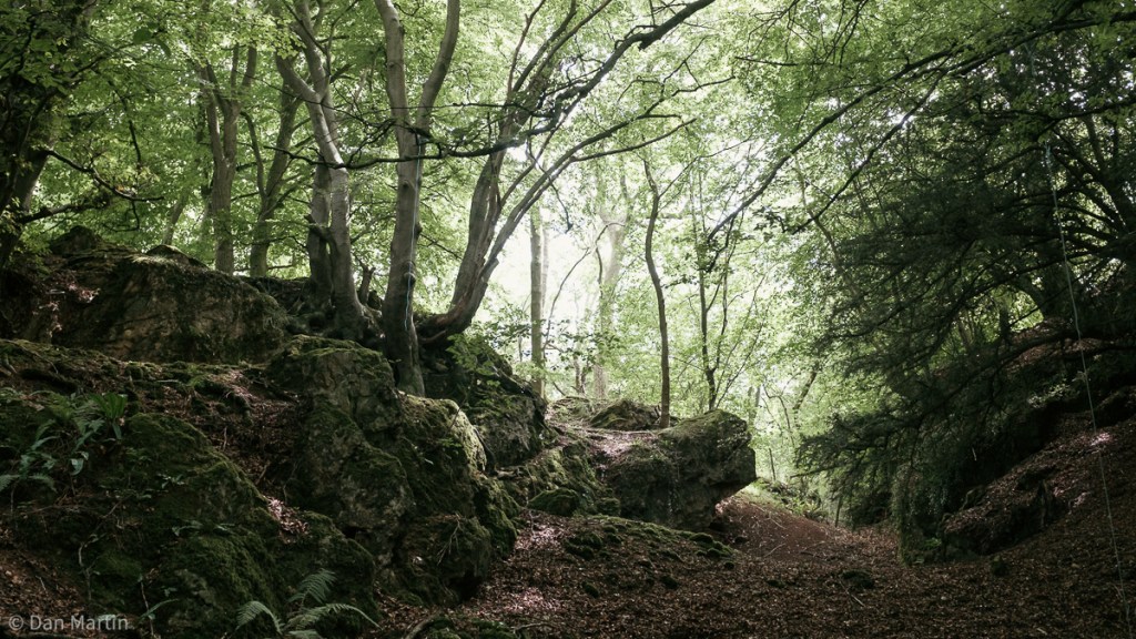 w o o d s a r e w i c k e&nbsp;d