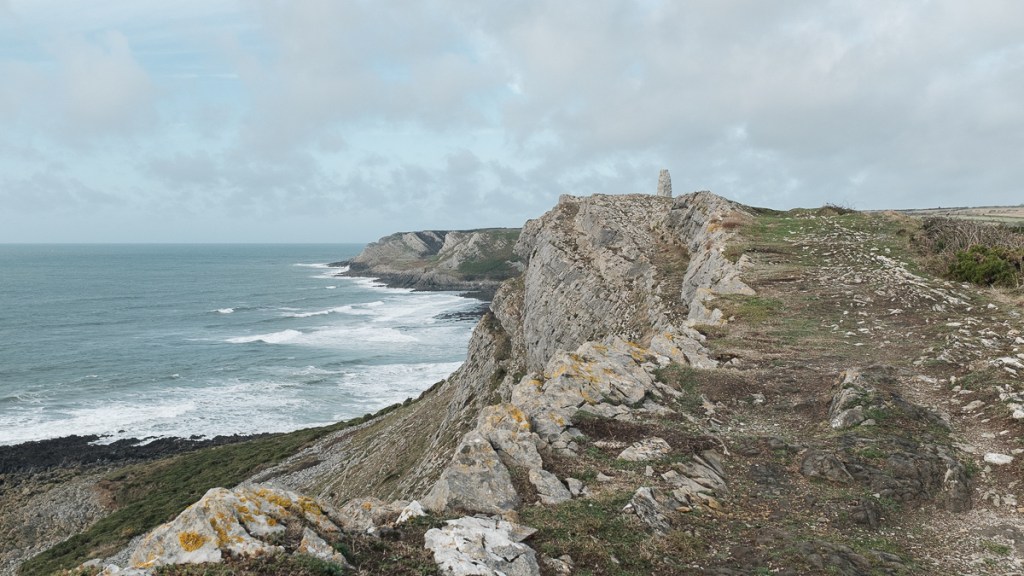 d i s c o v e r&nbsp;y