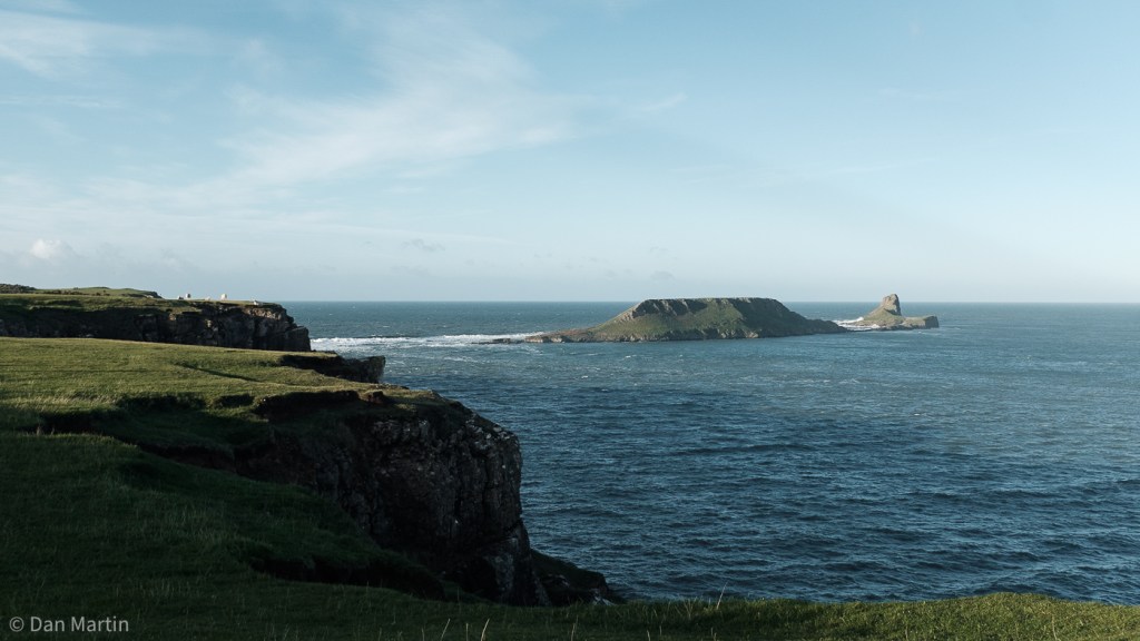 w o r m s h e a&nbsp;d