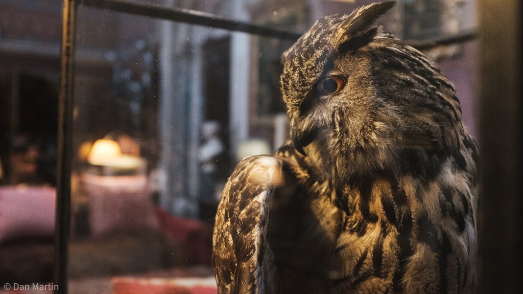 g r a n d e c c e n t r i&nbsp;c