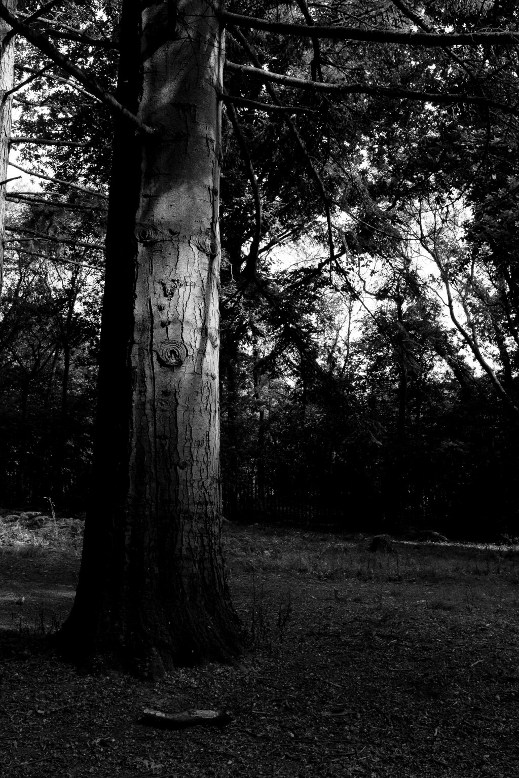 s l o w t i m&nbsp;e