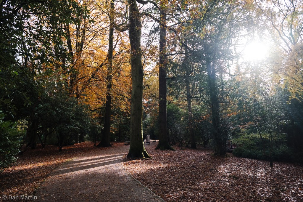 a u t u m n p a s&nbsp;t