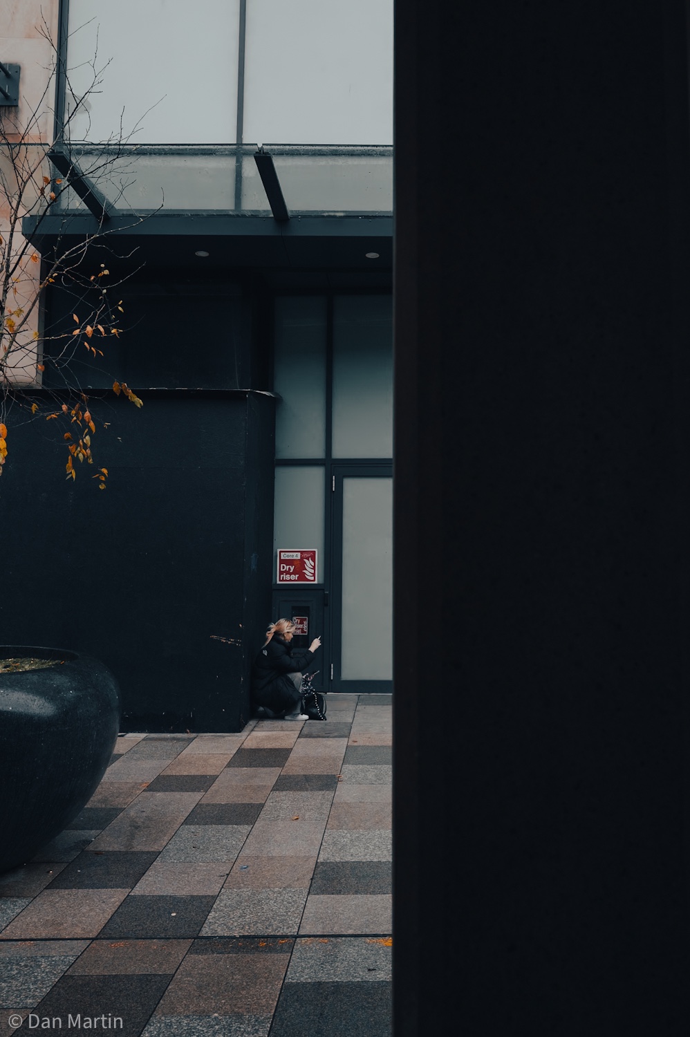 d r y r i s e&nbsp;r