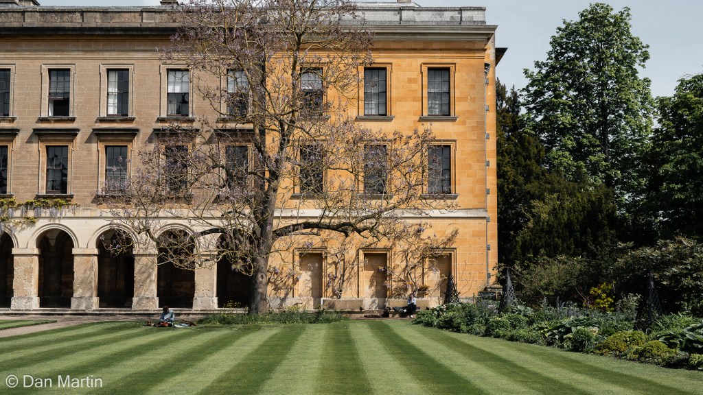 t h e h i s t o r y o f l e a r n i n&nbsp;g