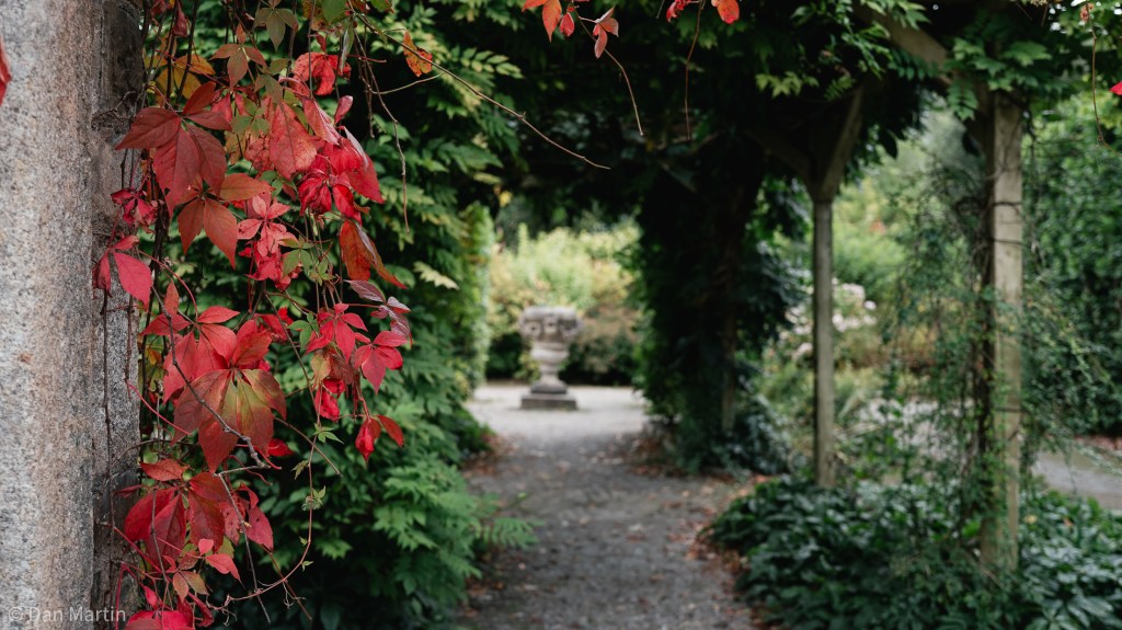 d i s t a n t l i g h&nbsp;t