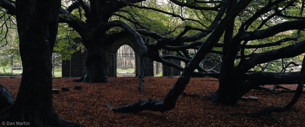 s t r e t c h i n&nbsp;g