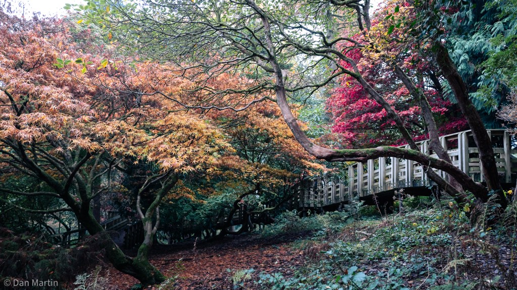 t h e p a s t / t h e f u t u r&nbsp;e