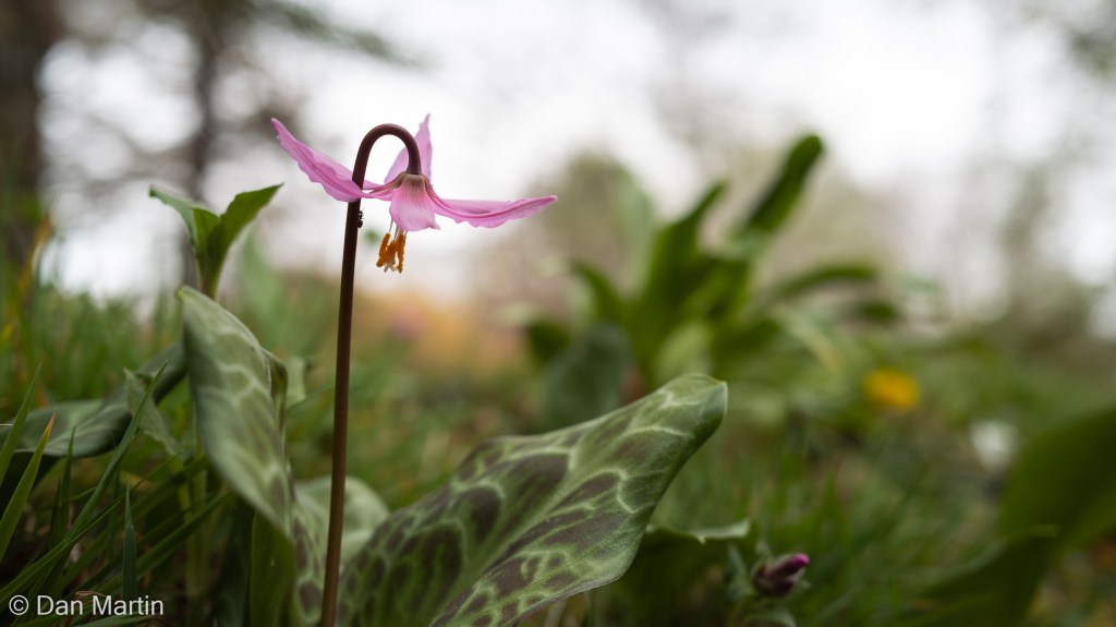 t i m e t h a t p e e l&nbsp;s