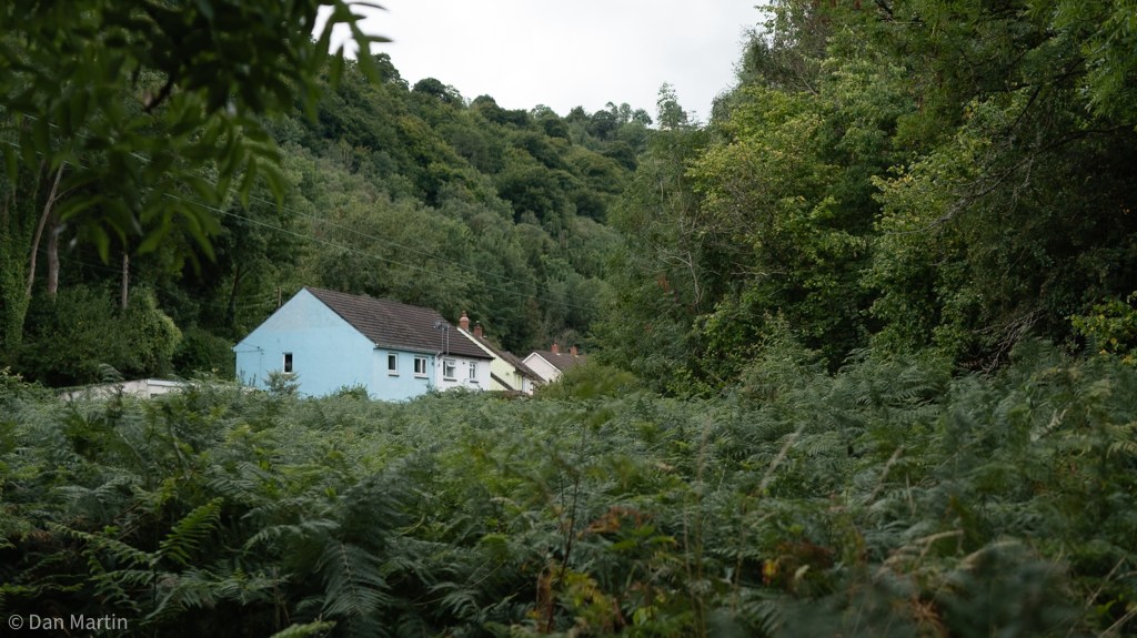 c l y d a c h g o r g&nbsp;e